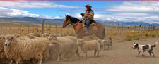 Chile-Lake District-Mallin Chileno Ride